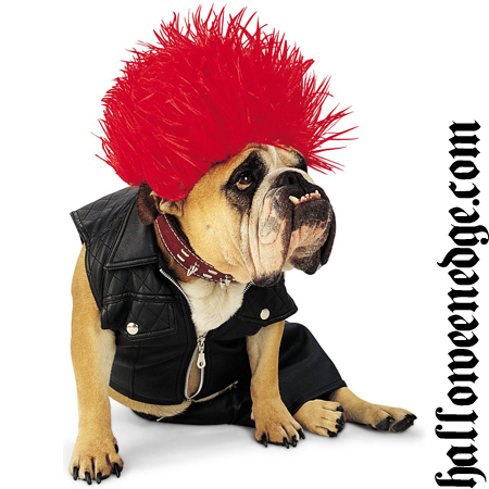 Dogs Halloween Costumes on Zelda Punk Dog Costume Jpg